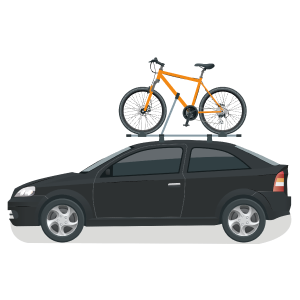 Car with Bike on roof